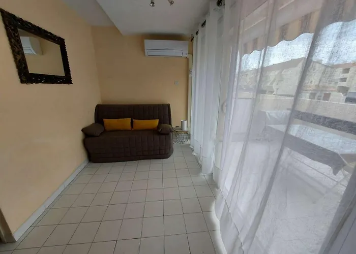 Apartment Climatise 2 Pieces, Acces Direct Plage, Terrasse Et Parking Prive - Fr-1-326-531 *