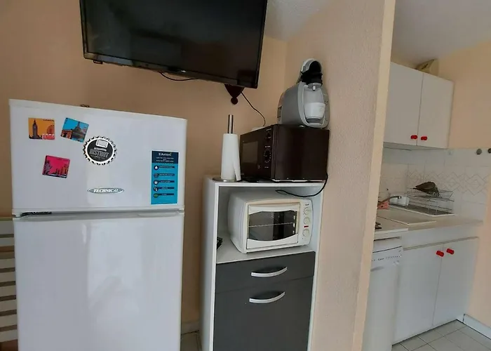 Climatise 2 Pieces, Acces Direct Plage, Terrasse Et Parking Prive - Fr-1-326-531 * Marseillan (Herault)