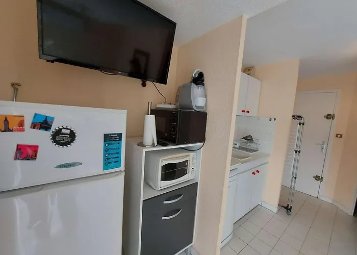 Apartment Climatise 2 Pieces, Acces Direct Plage, Terrasse Et Parking Prive - Fr-1-326-531