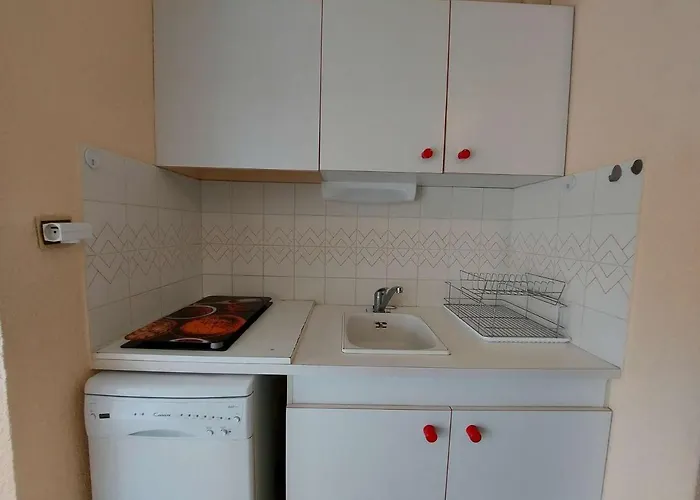 Climatise 2 Pieces, Acces Direct Plage, Terrasse Et Parking Prive - Fr-1-326-531 Apartment *