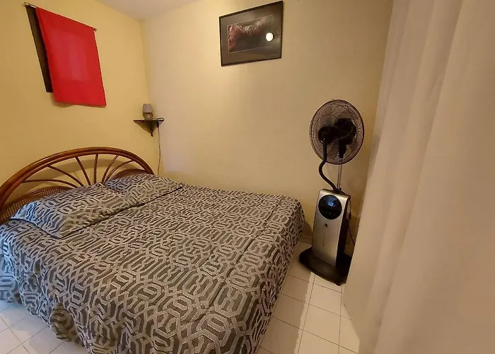 Climatise 2 Pieces, Acces Direct Plage, Terrasse Et Parking Prive - Fr-1-326-531 Apartment Marseillan (Herault)