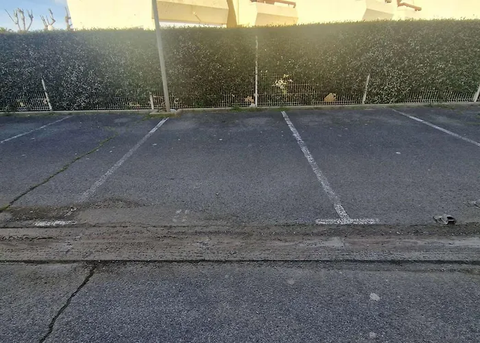 Apartment Climatise 2 Pieces, Acces Direct Plage, Terrasse Et Parking Prive - Fr-1-326-531